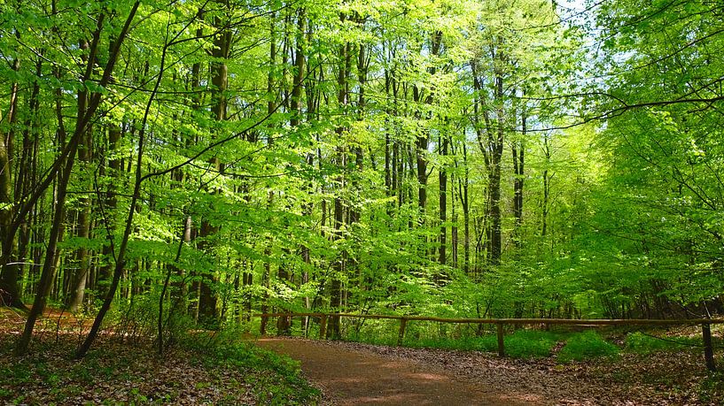 Mai Vert par Ostsee Bilder
