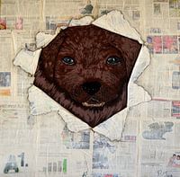 Schenk mir Beachtung