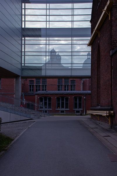 Glaswaren STAM von Leticia Spruyt