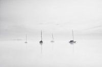 Atmosphère brumeuse au lac