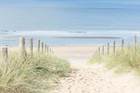 The beach - Door de duinen naar de zee
