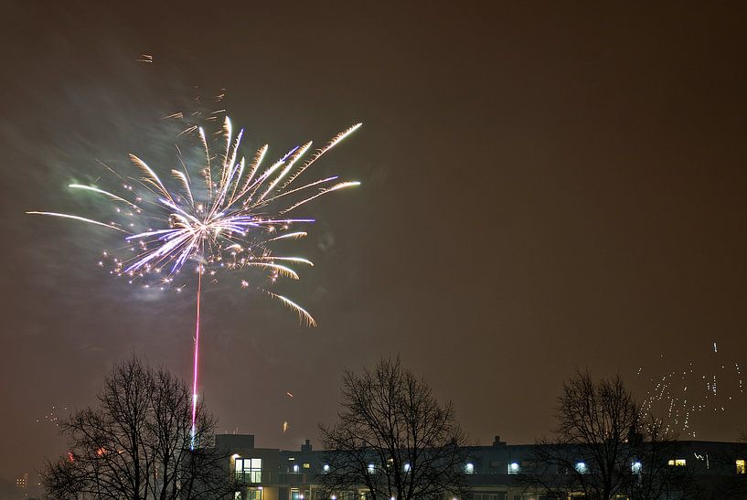 Purpurregen von Mariska Hofman