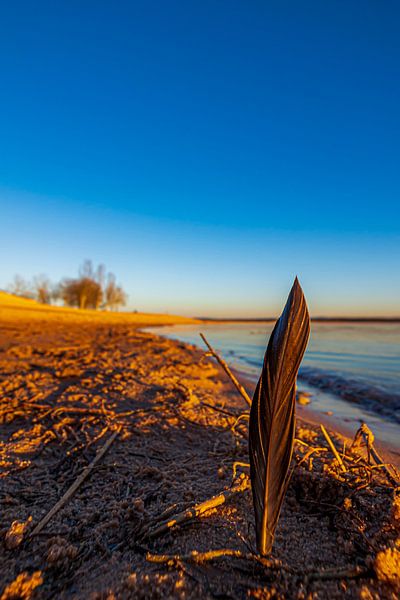 Feder am Strand von Oguz Özdemir