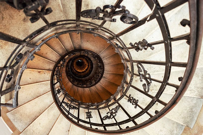 Stair -Staircase by Carina Buchspies