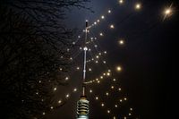 World's biggest Christmas tree shines over Utrecht again