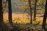 Kleurrijk doorkijkje