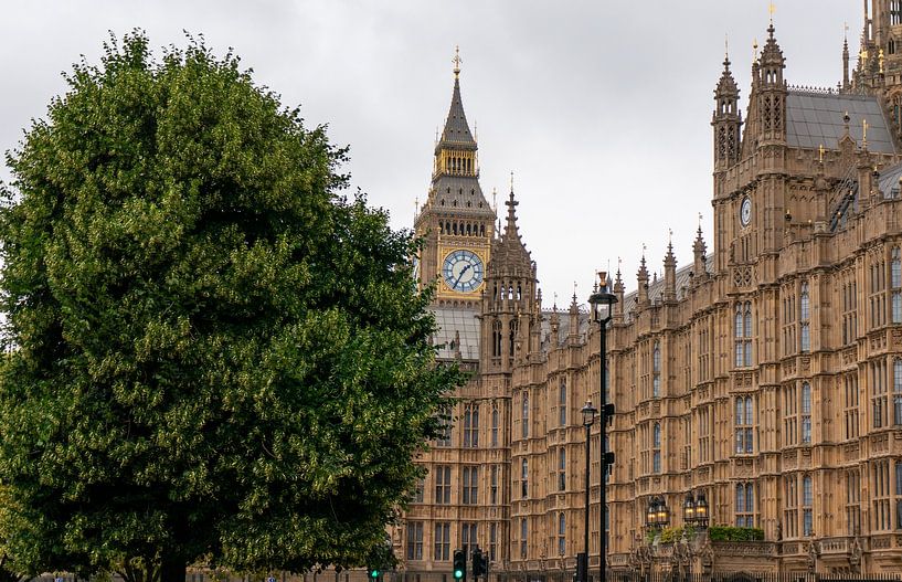 Big Ben and Westminster Hall in Great Britain typical English weather by Animaflora PicsStock