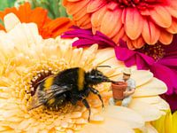 Catching your breath