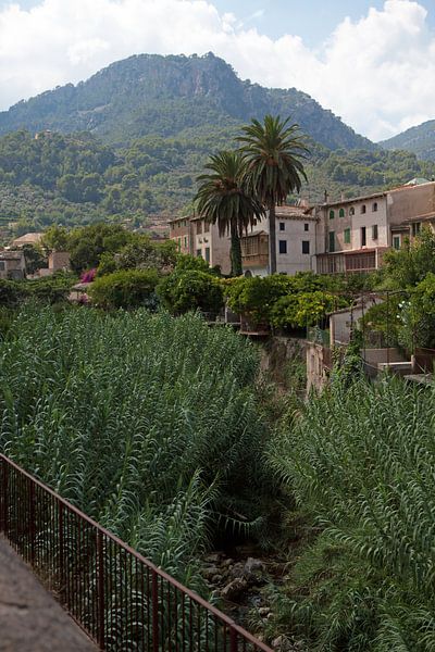 Serra de Tramuntana by t.ART