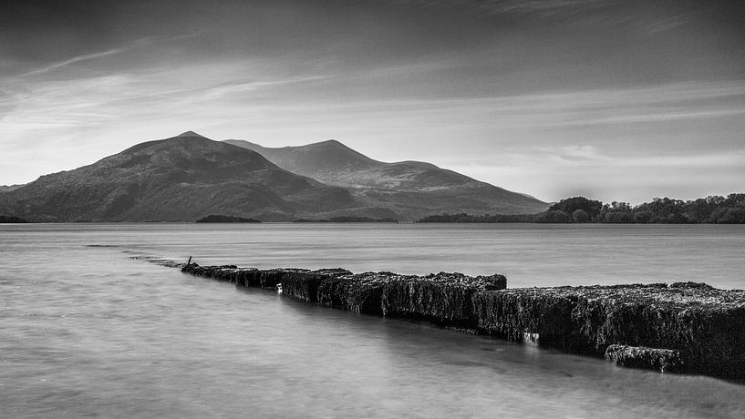 Stumm von Richard Reuser