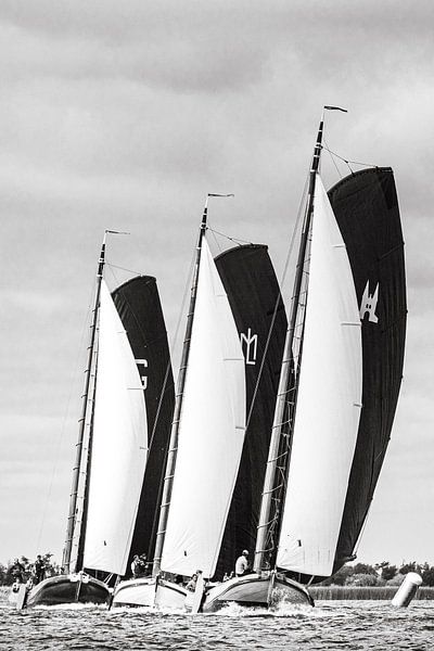 Grou, Huzum et Sneek par ThomasVaer | Tom Coehoorn