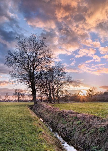 paysage agraire avec un fossé et arbres pendant un coucher de soleil par Tony Vingerhoets
