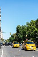 Taxis at Central Park, New York