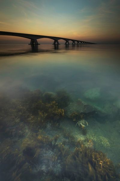 Die Seebrücke von Marcel van Balkom
