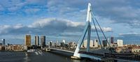 De Erasmusbrug (panorama)