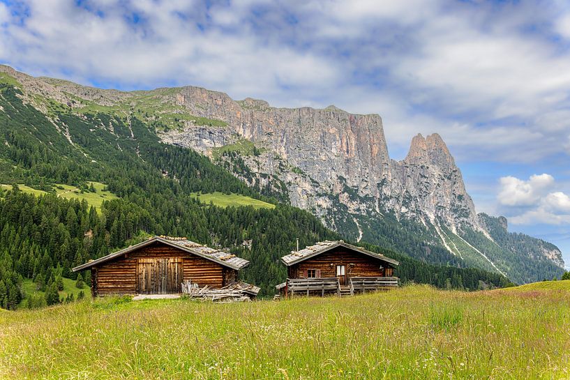Alpe de Siusi, Dolomites par Dirk Rüter