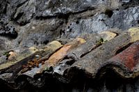 Old roof tiles