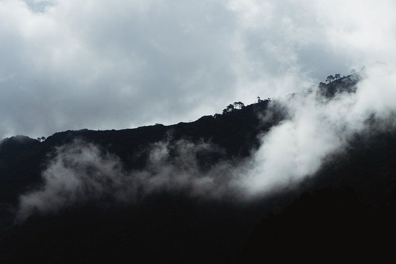 In de wolken par Records of Mickey