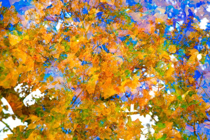 Goldener Oktober von Thomas Jäger