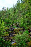 Zweeds landschap 012