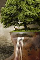 The waterfall - H. Fischer