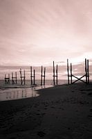 Zwart / roze aanlegsteiger op Texel