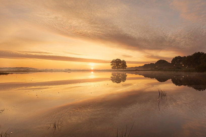 Sonnenaufgang an einem nebligen Morgen über einem Moor von KB Design & Photography (Karen Brouwer)