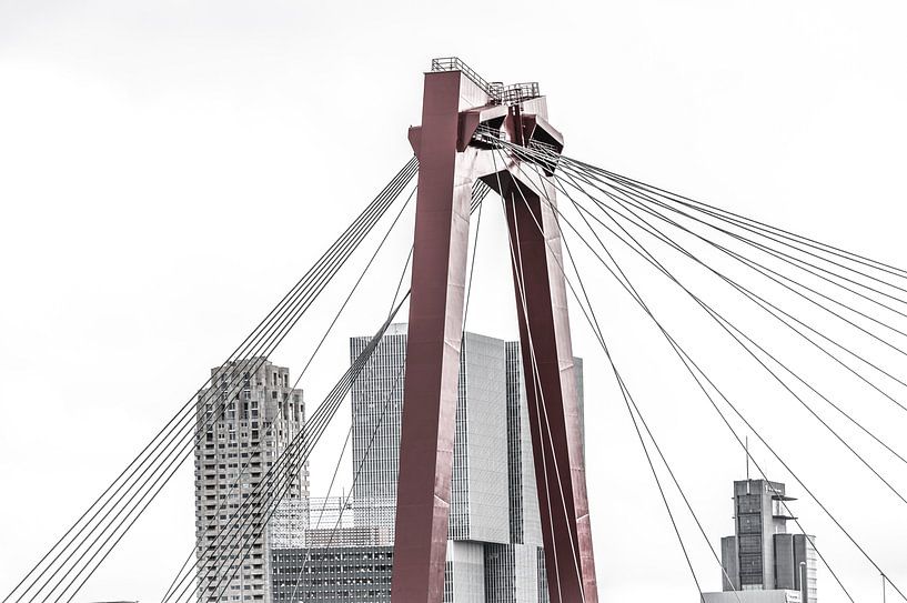 Helle Willems-Brücke von Robbert Ladan