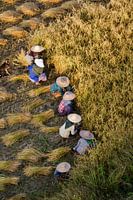 Frauen bei der Arbeit in Bagan