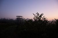 Lever de soleil dans la forêt de Beekberger