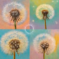 Löwenzahn in Vierteln