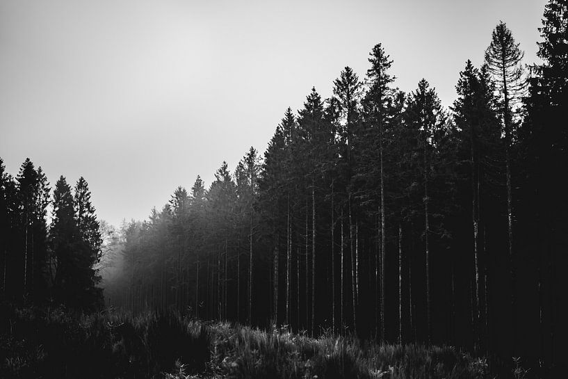 Belgische Ardennen von Eva Ruiten