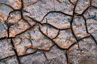 Dried-out clay in the Wadden Sea | Abstract nature photography | Structures
