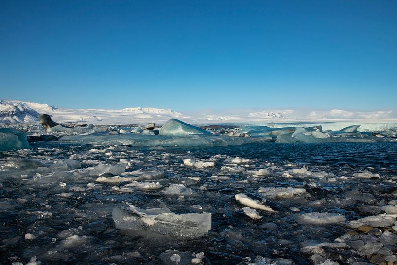 Paysage de l'Islande, Jökulsárlón. Lac glacier et plage de diamants par Gert Hilbink