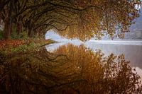 Herbstfarben über einem See