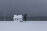 White Cottage Norwegen