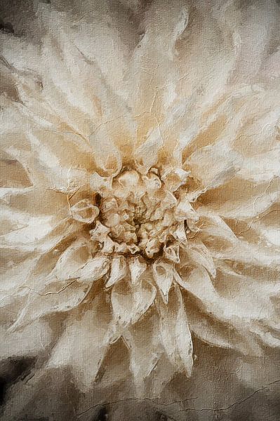 Dahlia in oil paint by Quay Art