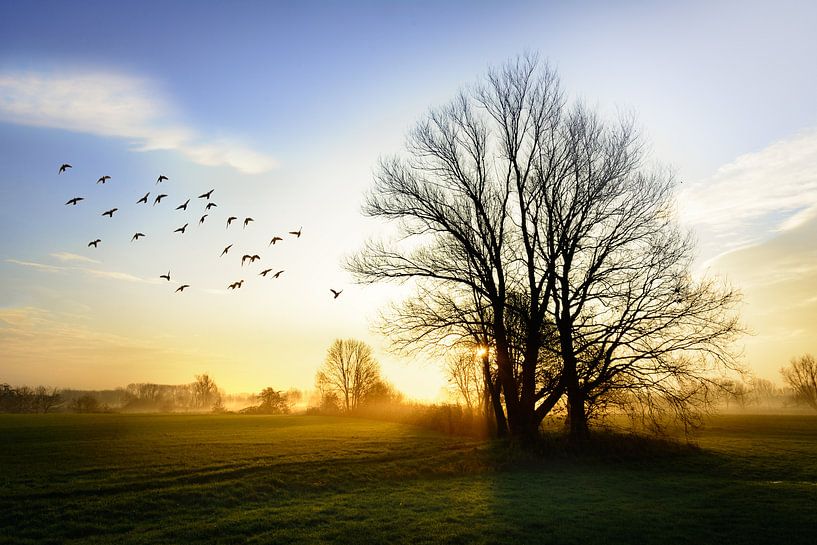 La beauté du pays brabançon par Christa Krus