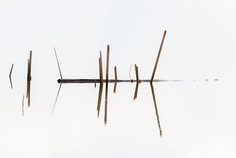 Le roseau dans le Biesbosch par Cor de Bruijn Photography