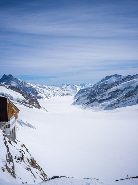 Vue sur le glacier d'Aletsch depuis le plateau du Jungfraujoch par t.ART