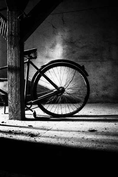 No. 315 by Zsolt Halasi