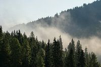 Cloudy mountain landscape