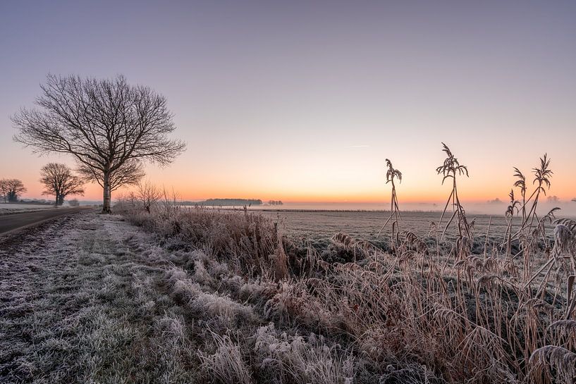Frozen meadow during sunrise by Dafne Vos
