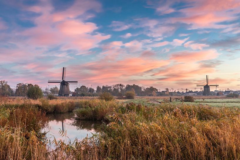 Jede Menge Farbe im Oudorperpolder von jaapFoto
