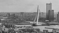 Erasmusbrücke Rotterdam