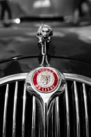 The Old Jaguar Emblem