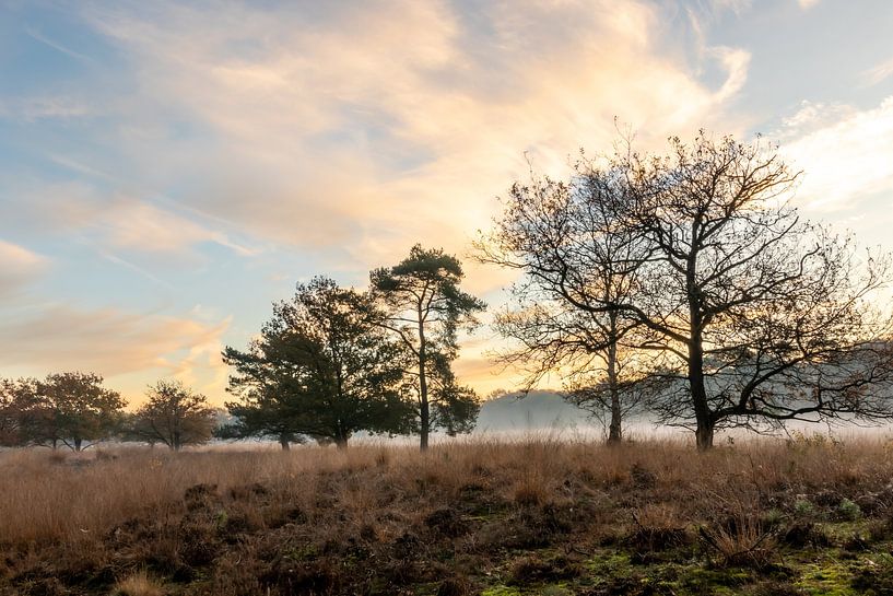 Lever du soleil à Westerwolde par Johan Mooibroek