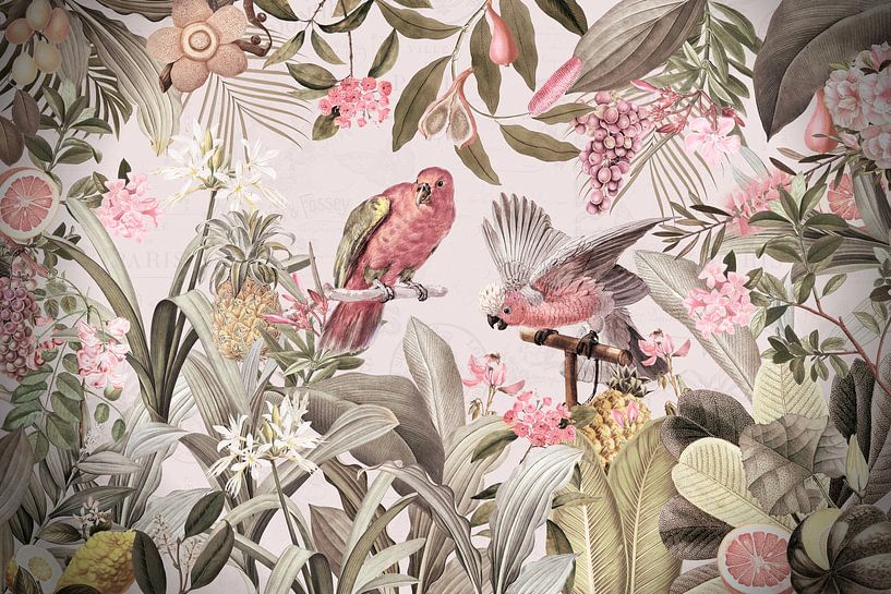 Pink Kakadus Im Tropischen Regenwald von Floral Abstractions