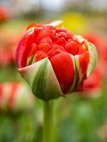 Het mooiste moet nog komen...