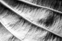 Verbindung und Richtung